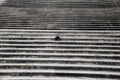 Teddybear sitting alone on steps