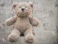 Teddybear on a swing Royalty Free Stock Photo