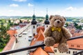 Teddybear in Telc city. UNESCO World Heritage Site. South Moravia, Czech Republic