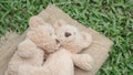 Teddybears Royalty Free Stock Photo