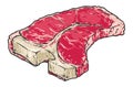 Tee-bone steak sticker vintage colorful
