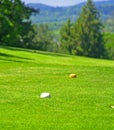 Tee Box Royalty Free Stock Photo