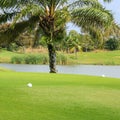 Tee box in the golf course Royalty Free Stock Photo