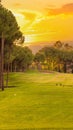 Tee box area at golf course at sunset with beautiful sky. Scenic panoramic view of golf fairway. Golf field with pines Royalty Free Stock Photo