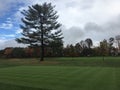 Teeing Off the 8th Green in