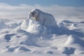 A teeming tundra frozen over a distant mammoth watching from a jutting mound of snow.. AI generation