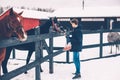 Teen boy feeding a horse on the ranch Royalty Free Stock Photo