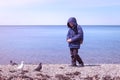 Teen boy in jacket feeding pigeons winter at sea stony beach on sea backround.