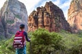 Teen boy hiking through scenic canyons at Zion National Park