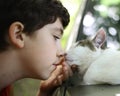 Teen boy kiss cat sleeping on the car Royalty Free Stock Photo