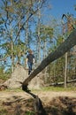Teen on a Fallen Tree Bridge Royalty Free Stock Photo