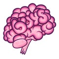 Teen girl brain illustration