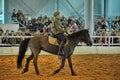 Teen girl in the form of World War II on a horse