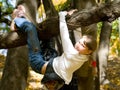 Teen girl hanging on the tree Royalty Free Stock Photo