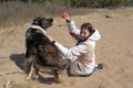 Teen girl playing with a dog in the sand Royalty Free Stock Photo