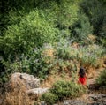 Girl in red dress standing in field surrounded by plants and rocks Royalty Free Stock Photo