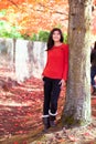 Teen girl in red shirt under red maple tree Royalty Free Stock Photo