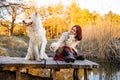 Woman relaxing with her Samoyed dog friendly pet on wooden bridge in park, happiness and friendship. pet and woman. Royalty Free Stock Photo