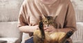 Teen girl with sad abyssinian cat on knees sitting on couch Royalty Free Stock Photo