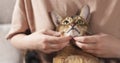 Teen girl with sad abyssinian cat on knees sitting on couch Royalty Free Stock Photo