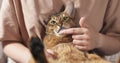 Teen girl with sad abyssinian cat on knees sitting on couch Royalty Free Stock Photo