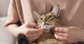 Teen girl with sad abyssinian cat on knees sitting on couch Royalty Free Stock Photo