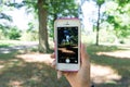 Teen girl take picture use smartphone Royalty Free Stock Photo