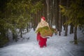 Teen girl in thick coat and a red sash with basket of fir branches and berries in cold winter day in forest. Medieval