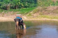 Teen girl washes an elephant with a brush. the girl with the elephant in the water. an elephant is swimming with a girl Royalty Free Stock Photo