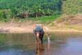 Teen girl washes an elephant. the girl with the elephant in the water. an elephant is swimming with a gir Royalty Free Stock Photo