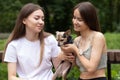 Teen girls play with a small dog in the park, happy pet, animal walking, owner with a puppy for a walk Royalty Free Stock Photo