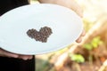 Teen hands holding heart shaped plant seeds on ceramic dish over nature background and sunlight. Farmer holding Young plant, new