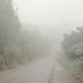 Teen hiking through countryside path in thick fog