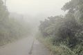 Teen hiking through countryside path in thick fog