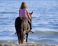 Teen and horse in the sea Royalty Free Stock Photo