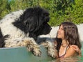 Teen and newfoundland dog in swimming pool Royalty Free Stock Photo