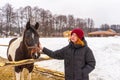 Teen redhead girl patting horse at ranch in snowy day. Winter weekend at farm, trip to countryside. Healthy lifestyle, active Royalty Free Stock Photo