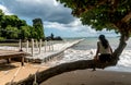 Teen sitting on tree looking at pier and beach Royalty Free Stock Photo