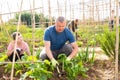 Teen son helps father clean weeds in garden beds