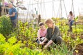 Teen son helps mother clean weeds in garden beds