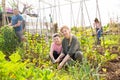 Teen son helps mother clean weeds in garden beds