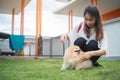 Teen woman playing with dog in the home, aisan woman