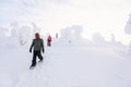 Teenaders hiking in snowshoes Royalty Free Stock Photo