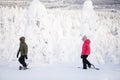 Teenaders hiking in snowshoes Royalty Free Stock Photo