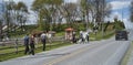 Teenage Amish Boys and Girls Walking Along a Rural Road
