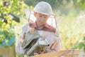 Teenage beekeeper inspecting commercial bee yard