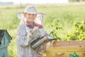 Teenage beekeeper wearing protective clothing