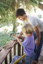 Teenage Boy And Brother Building Tree House Together