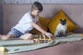 Young boy playing chess whith the cat at home during quarantine. Activity of kids of home. Stay home.