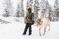 Teenage boy and reindeer in Lapland Royalty Free Stock Photo